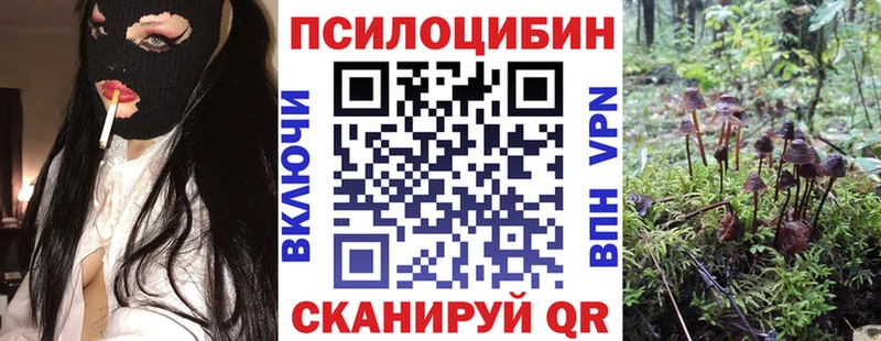 Псилоцибиновые грибы Psilocybe  Артёмовский 